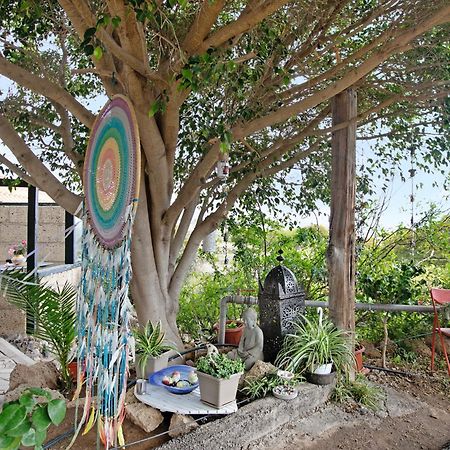Casa Munay Granadilla De Abona Zewnętrze zdjęcie